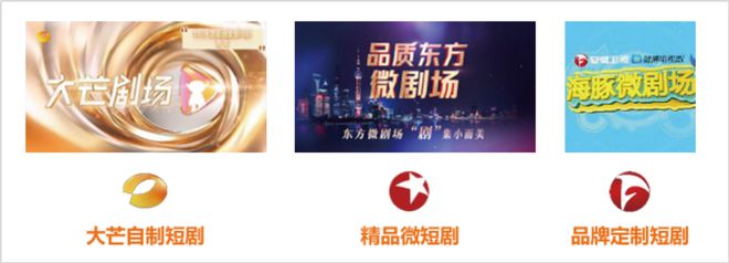 2024年智能電視激活家庭規(guī)模達336億戶同比增長30%(圖10)
